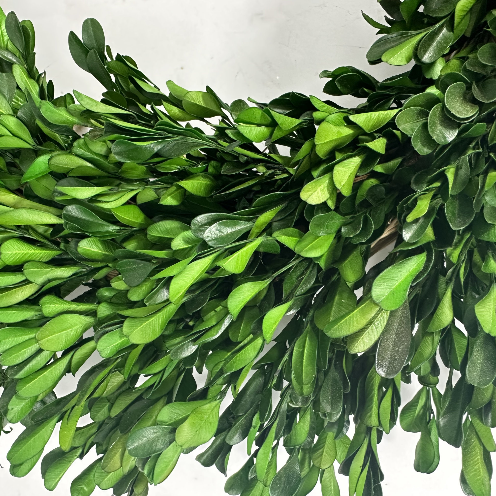 21'' Preserved Wheat Fall Wreath, Green