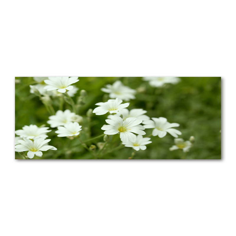 Spring Flowers - Wrapped Canvas Print