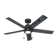 52" Erling 6 - Blade Ceiling Fan with LED Light Kit and Pull Chain