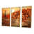 Gold Floater Framed selected