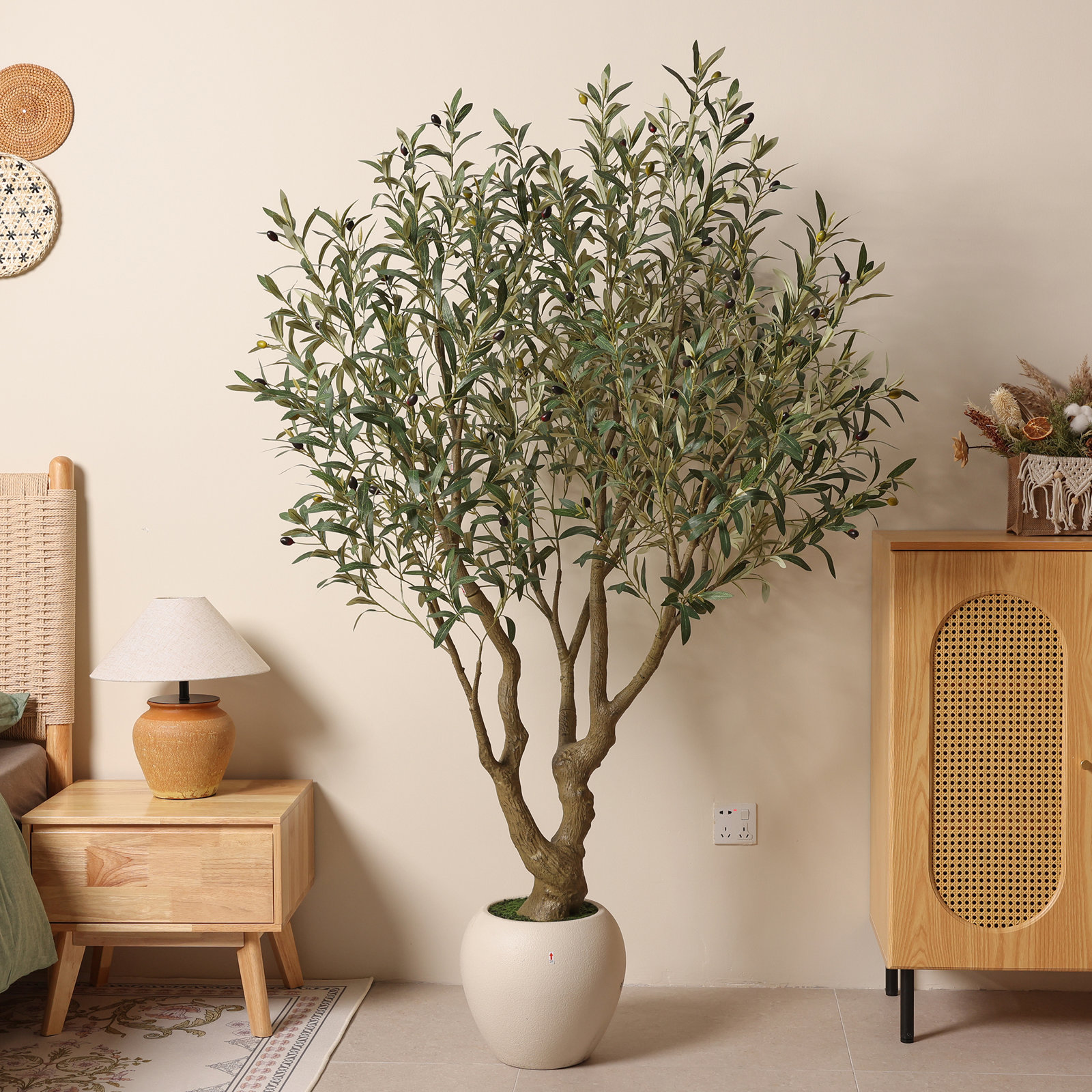 Ashwell Olive Tree in Pot, 72" H x 48" W