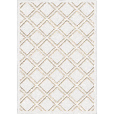 Chevron Indoor / Outdoor Rug