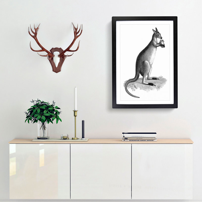 Kangaroo by George Shaw - Picture Frame Graphic Art Print, 48cm H x 36cm W x 2cm D, Black Framed