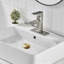Crépine de drain en laiton 2,56 "