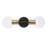 Rayvyn 18" 2-Light Dimmable LED Integrated Matte Black Vanity Light with Matte Brass Accents & Clear Glass