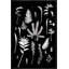 Botanical Collage 3 Print-1666011884-1666011885