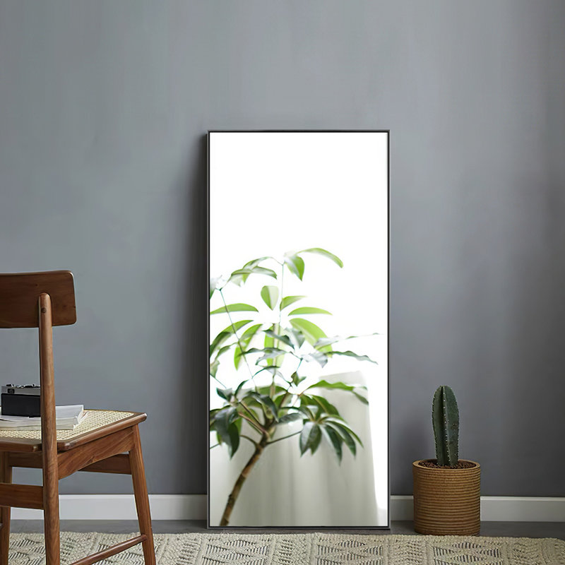 Miroir de salle de bain mural Talma, H 47 po x l 21 po, Noir