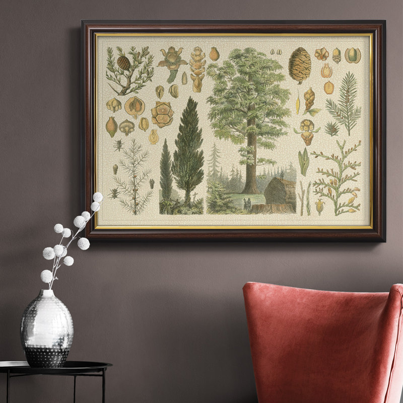 Collection Arbor - Toile encadrée de qualité supérieure - prête à être accrochée, H 24 po x l 36 po x P 2,5 po