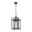 Grand luminaire suspendu d'extérieur, lanterne suspendue extérieure noire avec verre transparent pour porche, patio, entrée (H 16,65 po)