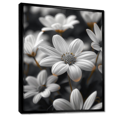 Décoration murale marguerite monochromes noir et blanc Photo II - marguerites