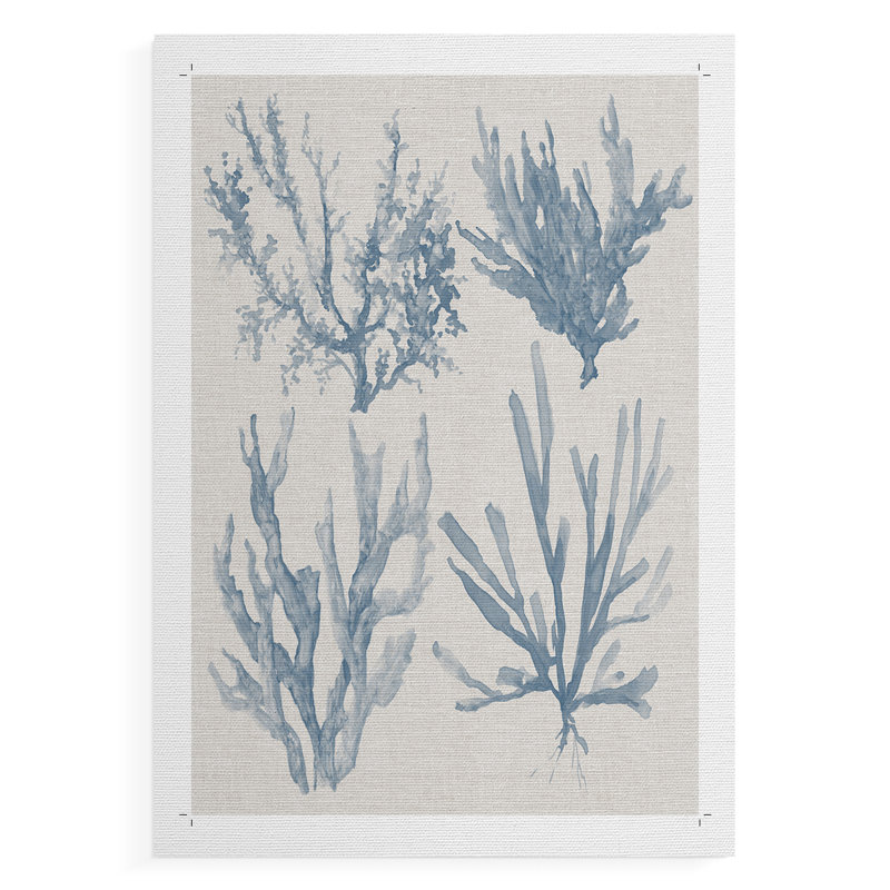 Collection Sea Coral II - Impression sur toile seulement - NON-CADRE, H 48 po x l 32 po
