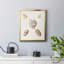 Toile encadrée Pastel Knorr Shells VI - prête à accrocher-141858855-141858854