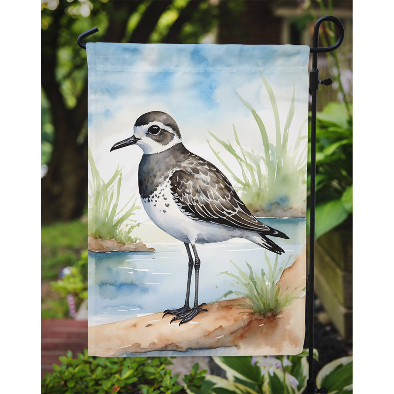 Drapeau de jardin Surfbird Bird, Pluvier à ventre noir
