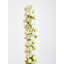 Fabric Yucca Arrangement