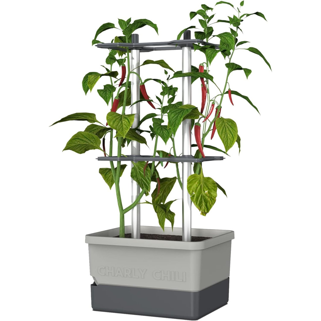 Rackhams Light/Grey Charly Chili Chili Pot With Water Tank & Climbing System - 20 Litres - Image 3