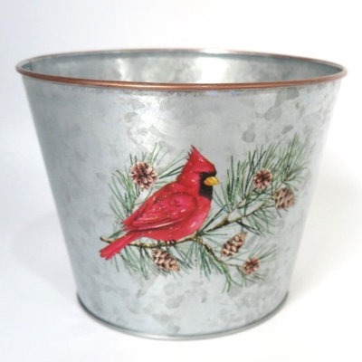 Autocollant cardinal sur une branche de pin sur pot de fleurs en métal