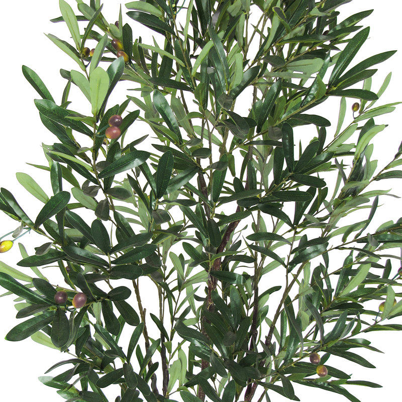 Faux Olive Tree Plant in Pot, 65" H x 33" W x 33" D