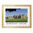 Oak Wood Frame