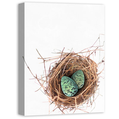 " Speckled Eggs In Nest Black "