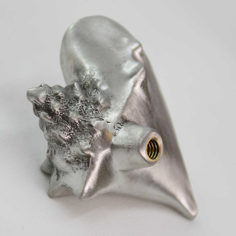 2" Conch Shell Knob, Brushed Nickel