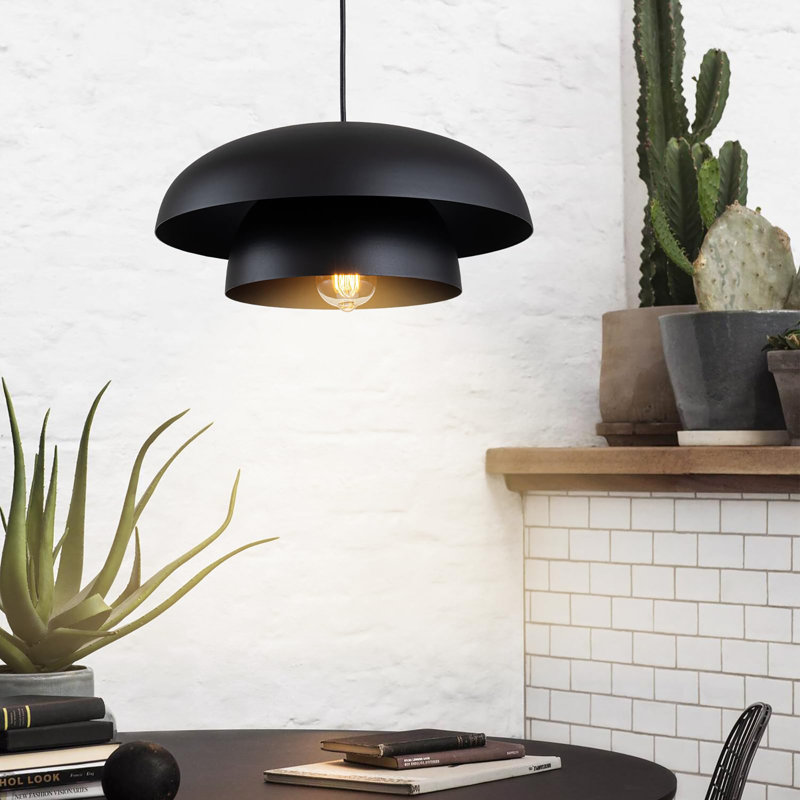 Ceiling Hanging Light Fixtures, Black