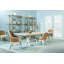 Caribe Upholstered Dining Chair