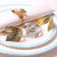Paquet de 12 anneaux de serviette en feuille d'or en acier inoxydable, table décorative élégante pour un usage quotidien