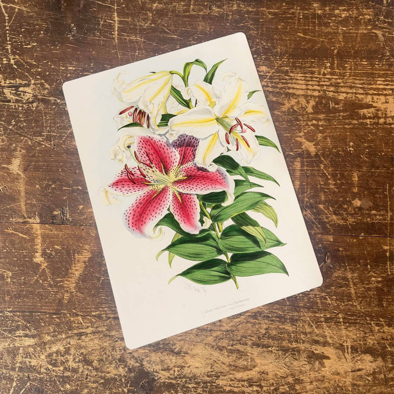 Plants & Flowers Wall Decor on Metal, 40 cm H x  28 cm W