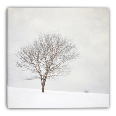 «Winter Solitude», art mural sur toile tendue