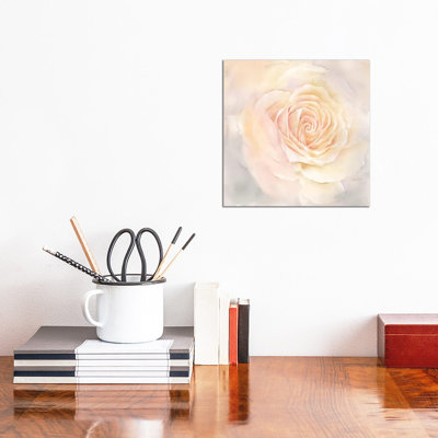 Blush Rose Closeup III by Cynthia Coulter - Wrapped Canvas Painting