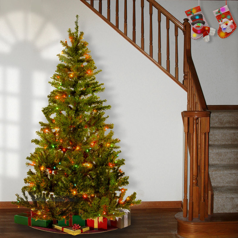 Grand sapin canadien avec lumières claires, H 6 pi