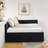 Full Size Upholstered Tufted Bed Frame With Two Drawers, Sofa Bed Frame With Comfortable Backrest And Armrests, Velvet(79.5''X58''x25'')-1101185389