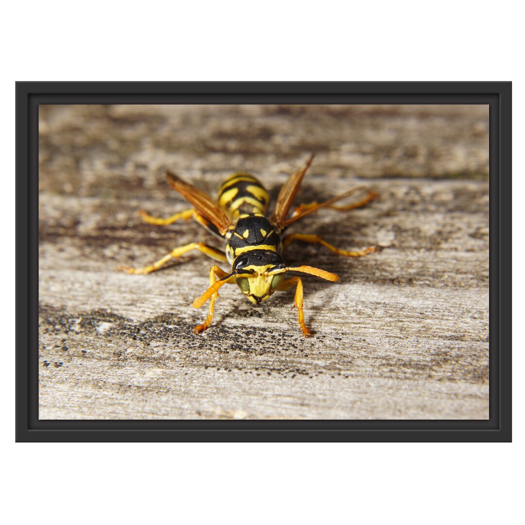 Gerahmtes Wandbild kleine Biene auf Holz