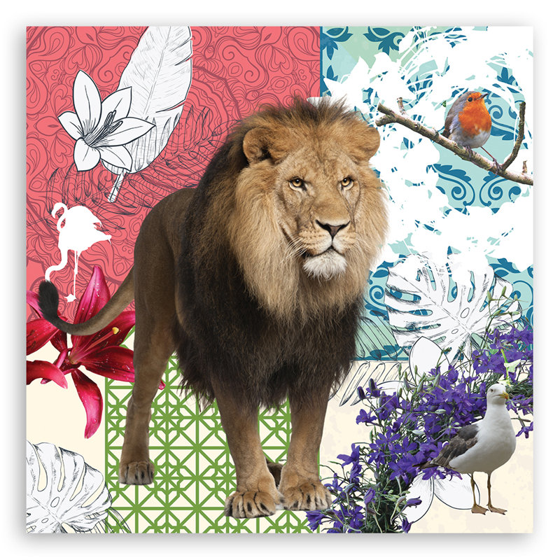 A Lion And Birds Collage - No Frame Print on Canvas, 50cm H x 50cm W