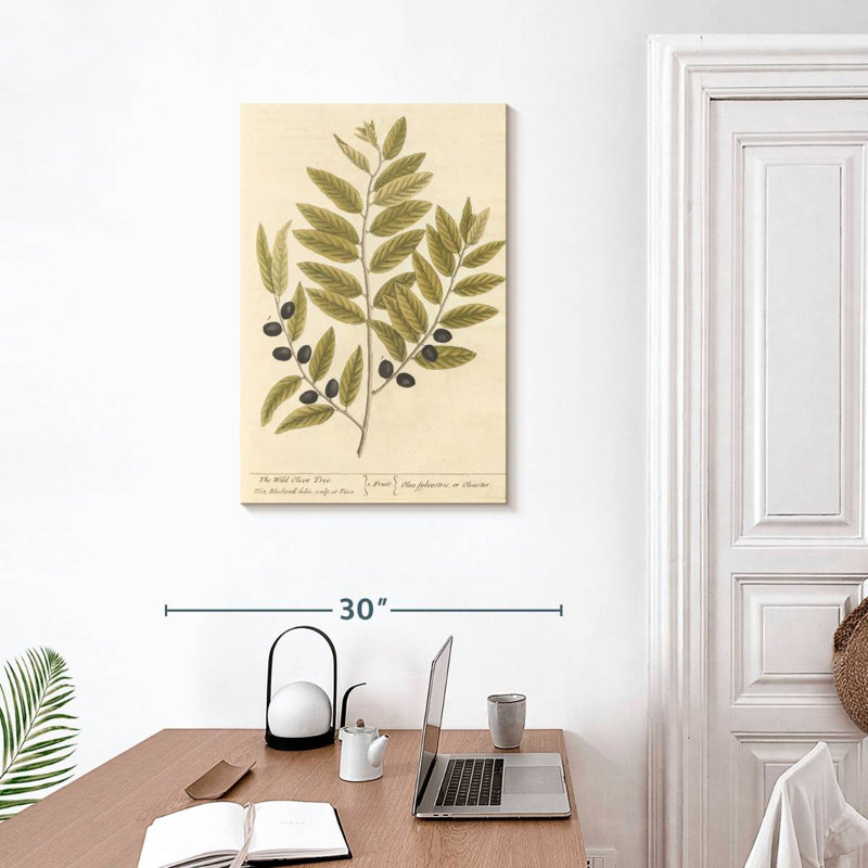 Keiri Olive Branch I, 30" H x 20" W
