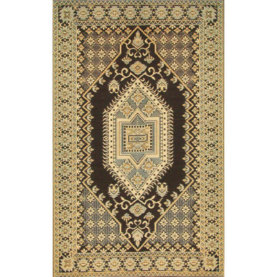 Oriental Indoor / Outdoor Rug