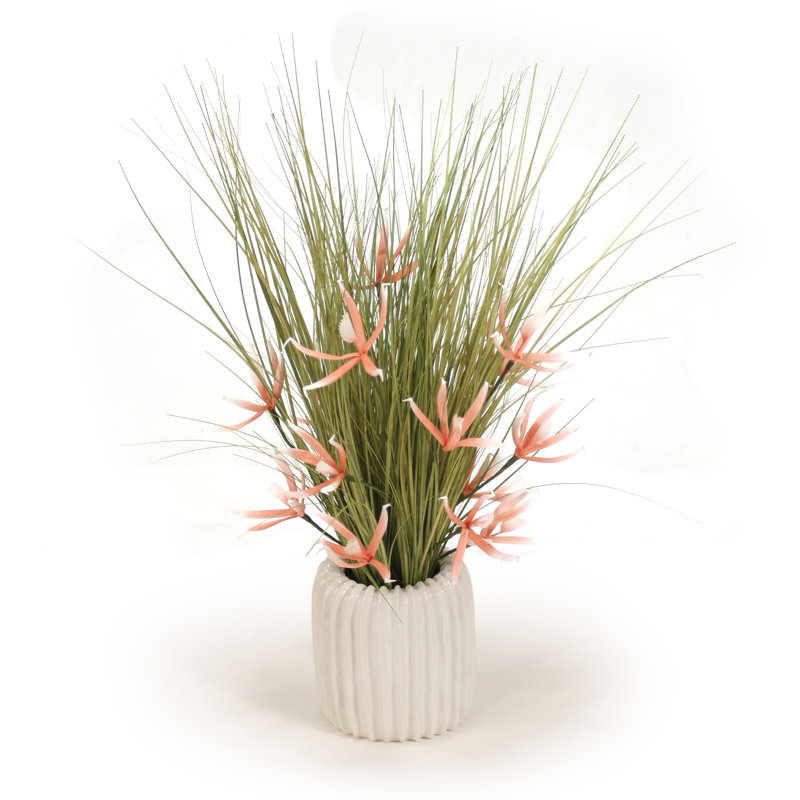 Centre de table orchidée corail en pot