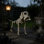Décoration de squelette de chien posable d'Halloween avec articulations mobiles
