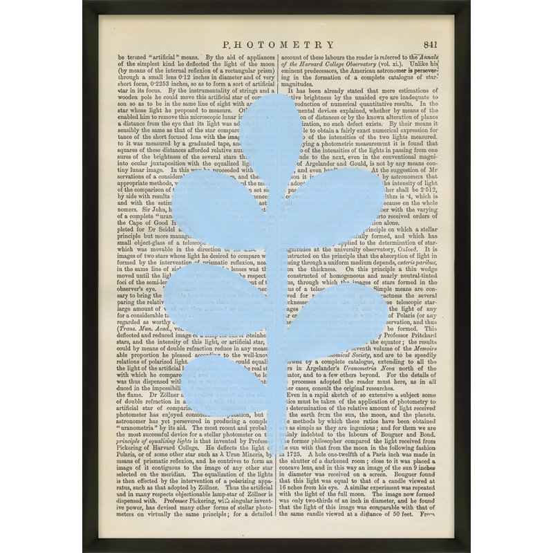 Photometry Print by Michela Sorrentino, 25" H x 18" W x 1.25" D, Black Wood