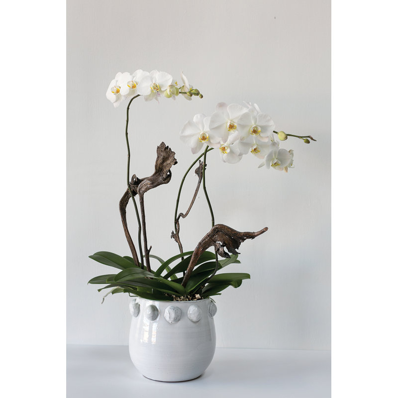 Pot à fleurs Zira, H 9,5 po x l 10 po x P 10 po