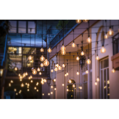 Makenlei " Street Lights I " by Dmitry Kirshner
