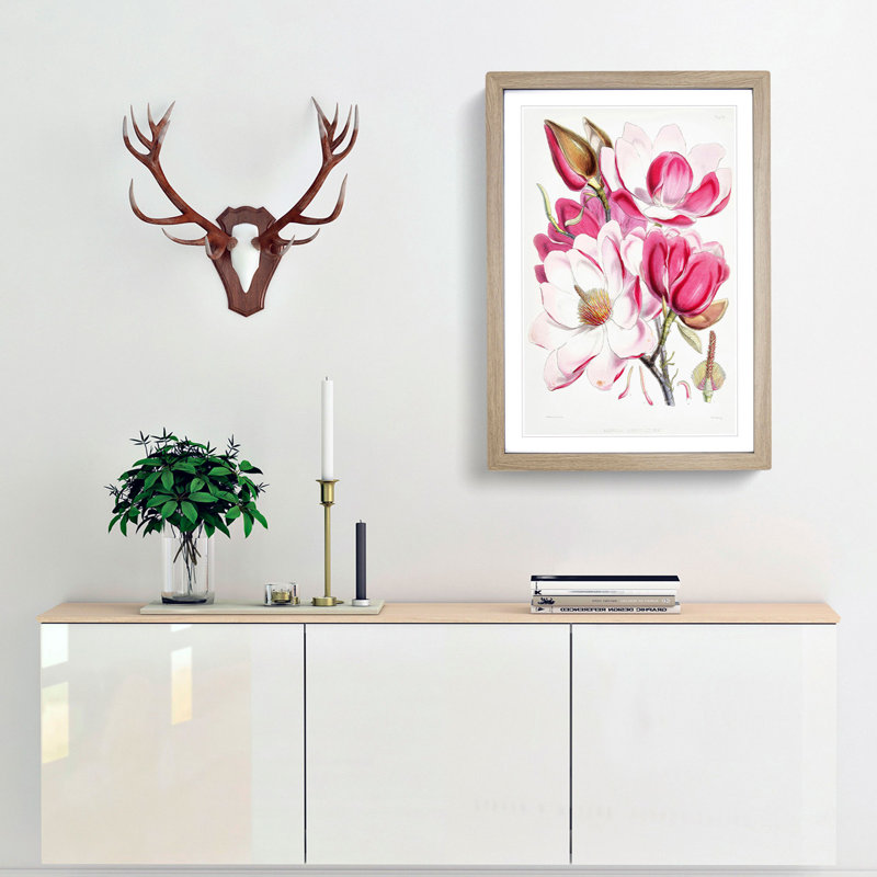 Himalayan Magnolia Flowers by W. H. Fitch - Picture Frame Painting Print, 48cm H x 36cm W x 2cm D, Oak Framed