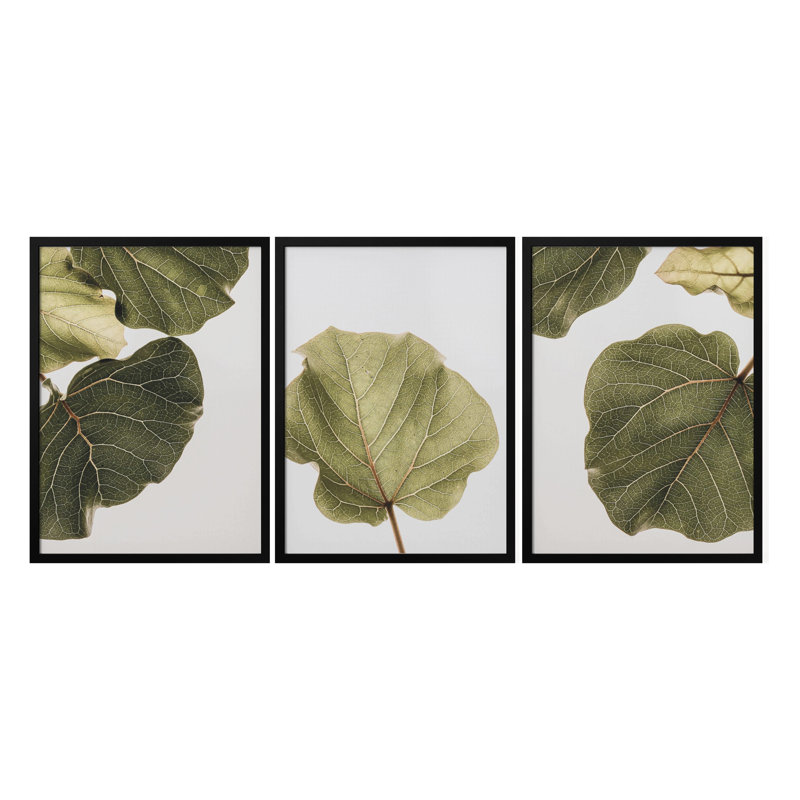 "Abutifolia Noe", ensemble de trois peintures murales encadrées, Noir, H 14 po x l 30 po