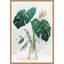 « Forenoon II » (feuille de Monstera) par Isabelle Z-Floater, reproduction d’art sur toile encadrée