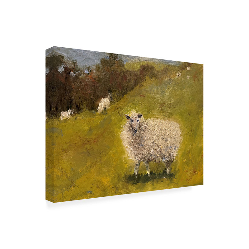 «Sheep In Field III» sur, H 18 po x l 18 po