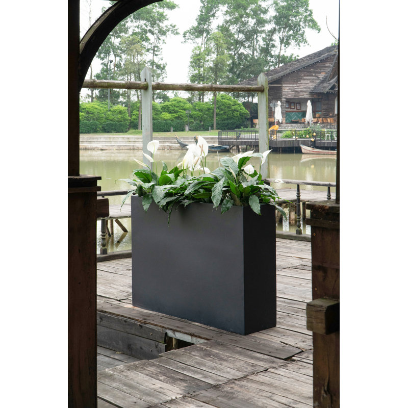 Bac à fleurs en fibre de verre Connoisseur, Noir, H 20 po x l 24 po x P 59 po