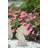 Abidur Animals Garden Statue