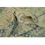 Tapis turc transitionnel en laine Oushak 5 x 8