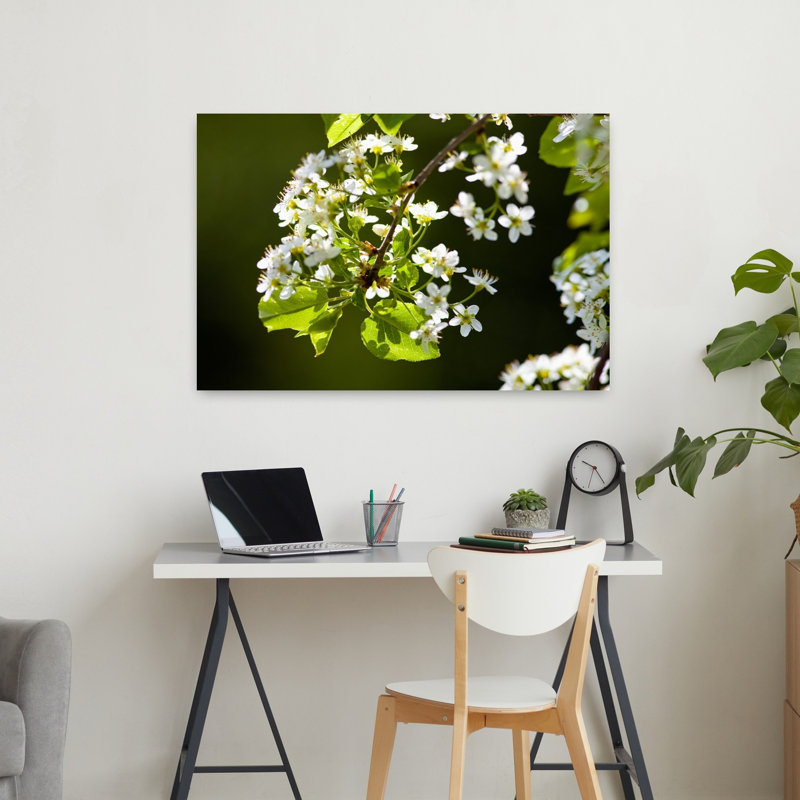 Gros plan sur une fleur de cerisier au printemps, art mural contemporain avec fleur de cerisier, H 24 po x l 36 po
