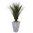 Spiked Agave Artificial Plant in Cement Planter